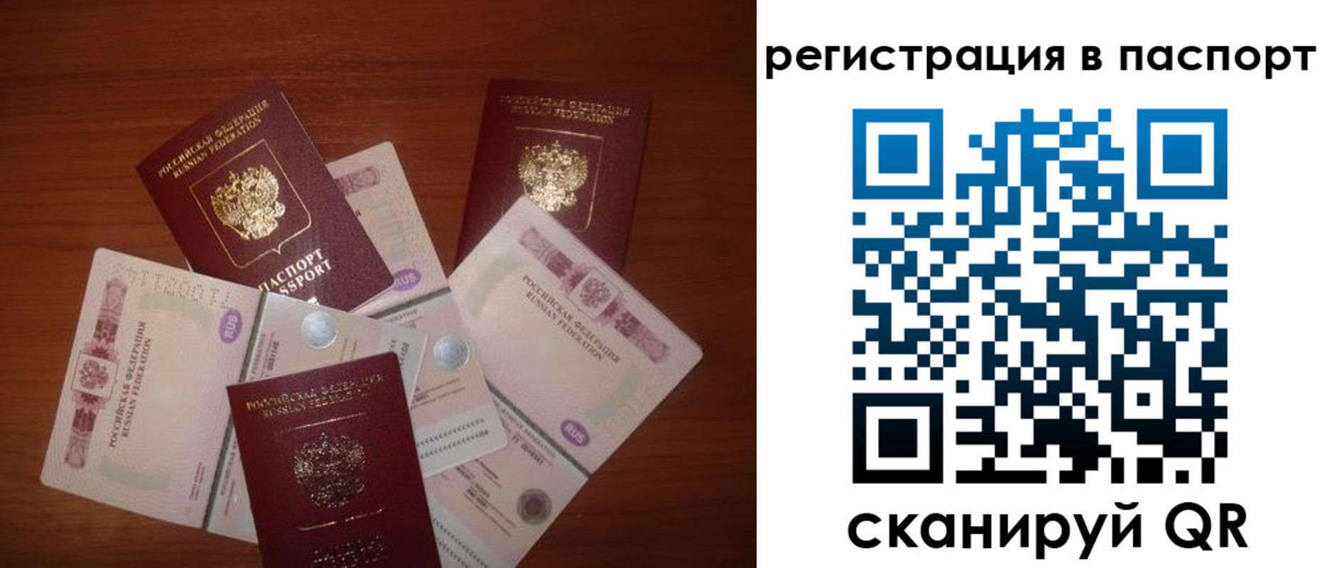 временная регистрация поиск в Жуковском